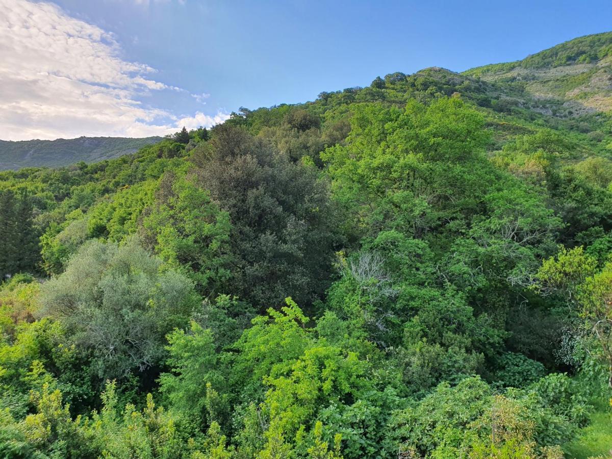 Apartment Bijelavista Χέρτσεγκ Νόβι Δωμάτιο φωτογραφία