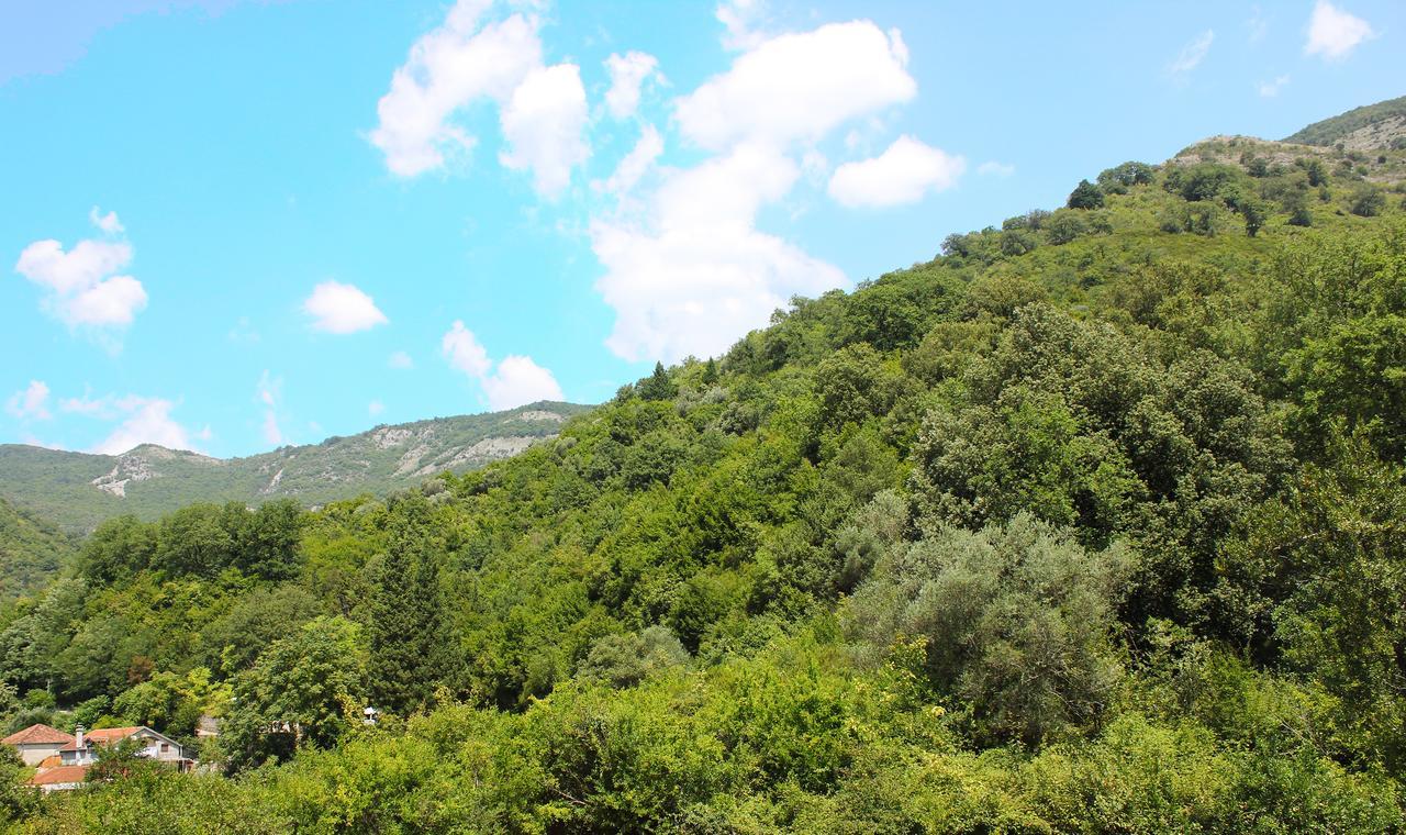 Apartment Bijelavista Χέρτσεγκ Νόβι Εξωτερικό φωτογραφία